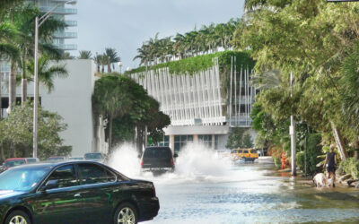 State of Miami Transportation – February 2025